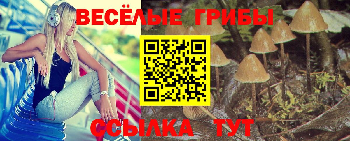 Псилоцибиновые грибы мухоморы Менделеевск